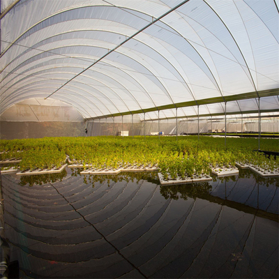 Hydroponic金属フレームのトンネルの成長を耕作する単一のスパンの温室の農業