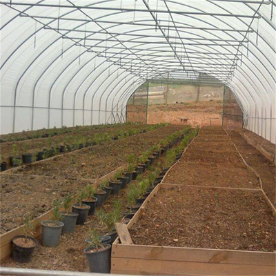 Hydroponic金属フレームのトンネルの成長を耕作する単一のスパンの温室の農業