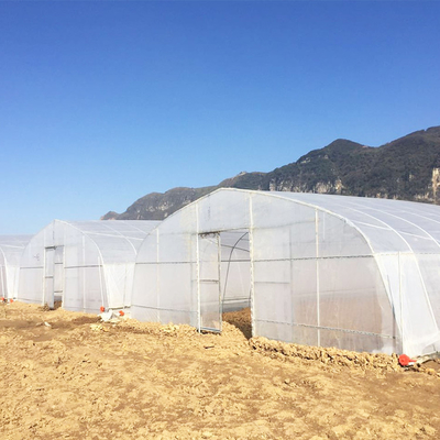 高いトンネル150ミクロンのPEのフィルムの農業のプロジェクトのための単一のスパンの温室