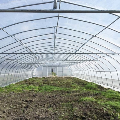 高いトンネル150ミクロンのPEのフィルムの農業のプロジェクトのための単一のスパンの温室