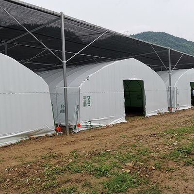 農業の中国の有機性きのこ管理温室の単一スパンの温室
