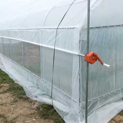 野菜栽培のプラスチック フィルムの温室/トンネルの単一のスパンの温室
