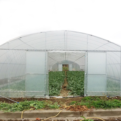 野菜栽培のプラスチック フィルムの温室/トンネルの単一のスパンの温室