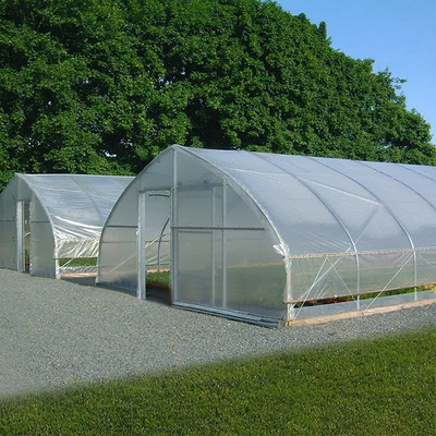 農業の温室のプラスチック カット フィルムのトンネルの単一のスパンの安い温室