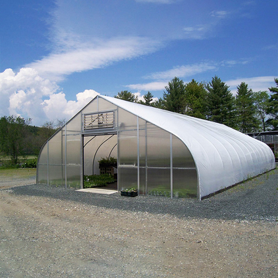 農業の温室のプラスチック カット フィルムのトンネルの単一のスパンの安い温室
