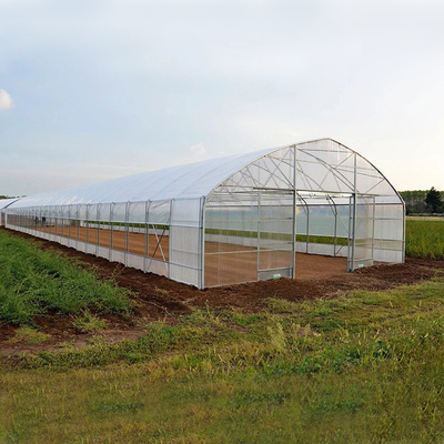 トマトの細流かんがい装置のための多温室の農業のトンネルのプラスチック温室