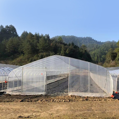 大きいサイズのプラスチック多技術の温室/農業の単一のスパンの温室