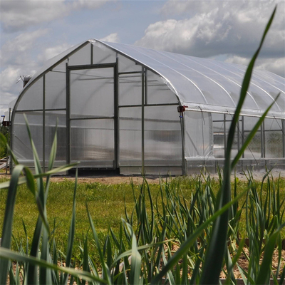 農業のためのゴシック様式 アーチの側面の換気のプラスチック フィルムの温室の単一のスパン