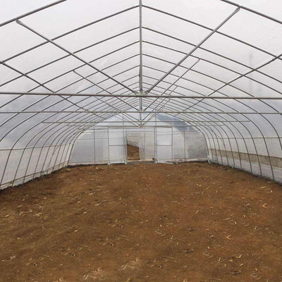 ゴシック様式高いトンネルの野菜フィルムの水耕栽培の単一スパンの温室の構造