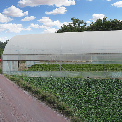 農業の多トンネルの鉄骨フレームの二重フィルムが付いているプラスチック単一のスパンの温室