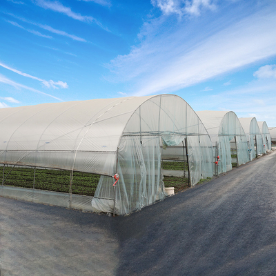 8m 9mの幅の植物の成長のための単一のスパンの縦のトンネルのプラスチック温室
