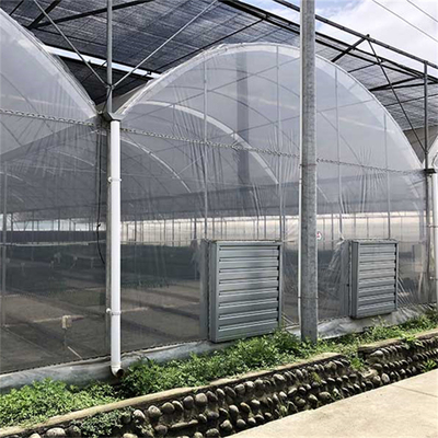 野菜のための電流を通された鋼管の農業のプラスチック フィルムの多スパンのトンネルの温室