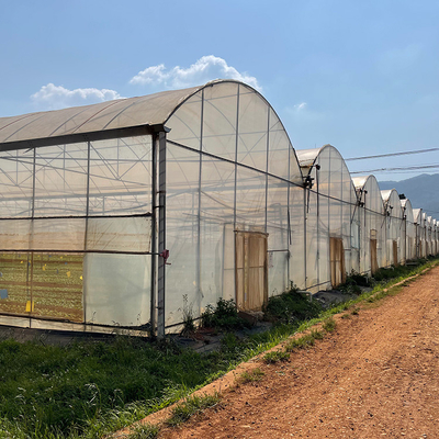 農業耕作のための成長システム プラスチック フィルムの多スパンの温室