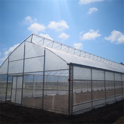熱帯換気装置の鋸歯の野菜栽培のための単一のスパンの温室