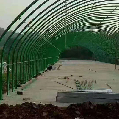 鶏の養鶏場の家畜および家禽育成のための多トンネルの温室
