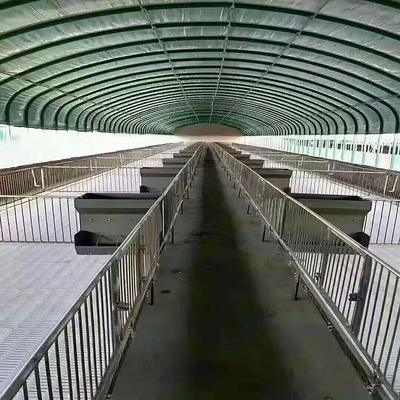 鶏の養鶏場の家畜および家禽育成のための多トンネルの温室