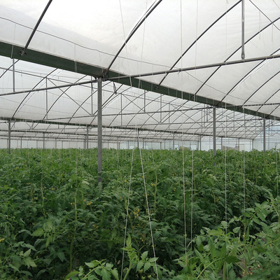 農業の自然な換気の温室の温度調整の多スパンの温室