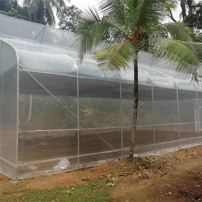熱帯アーチの農業の成長のポリエチレン フィルムの温室