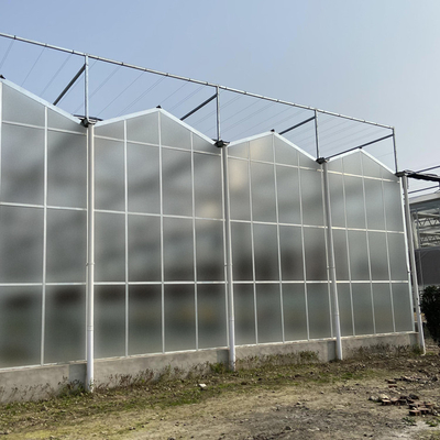 農業のフィルムの明確なポリカーボネートの温室の透明な正方形の鉄骨フレームのコーティング