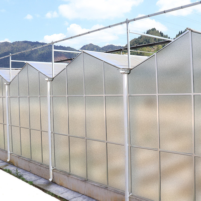 農業のフィルムの明確なポリカーボネートの温室の透明な正方形の鉄骨フレームのコーティング
