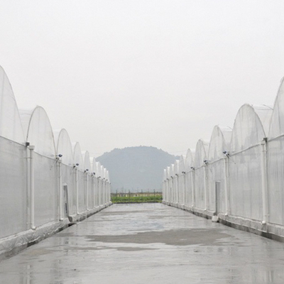 植物の養樹園のポリエチレン フィルムの温室のキット/農場の技術の温室