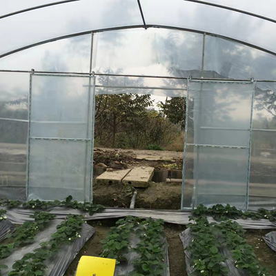 6mの花の耕作のための農業の温室のポリエチレン フィルムの温室