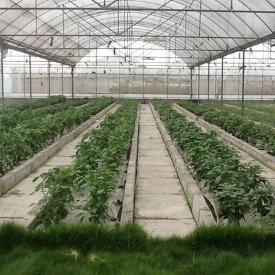 Hydroponicシステム多フィルムの多スパンの温室を育てる抵抗力がある農業の植物を巻きなさい